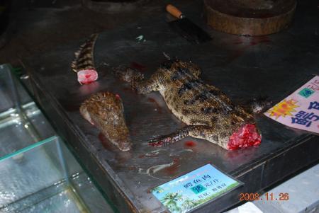 Freshly killed cayman at the market