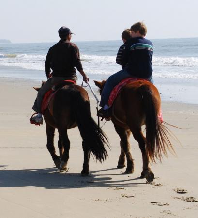 Horse ride on the beach