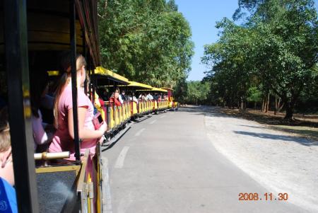 Mobile train at Safari Park